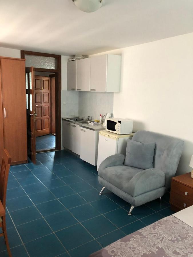 Guest house Vila Mila *